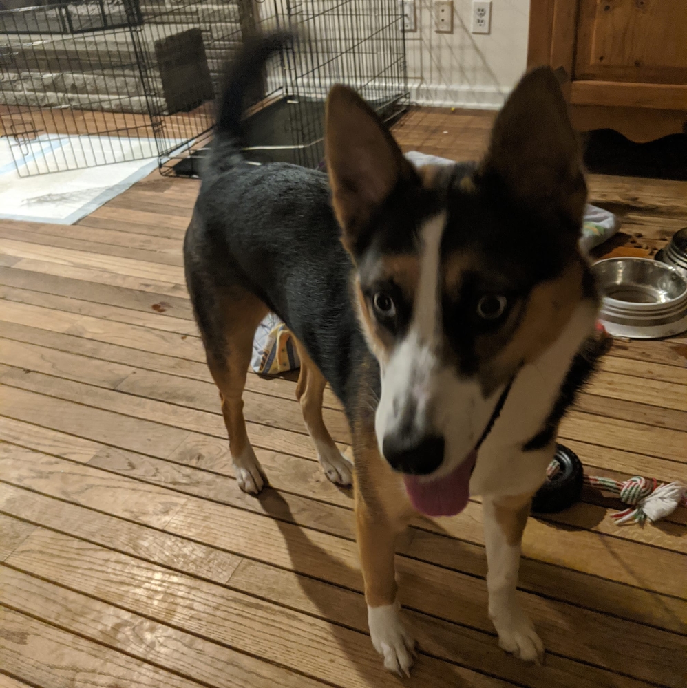 Meet your Posher, Rob